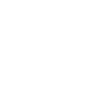 Audin AI
